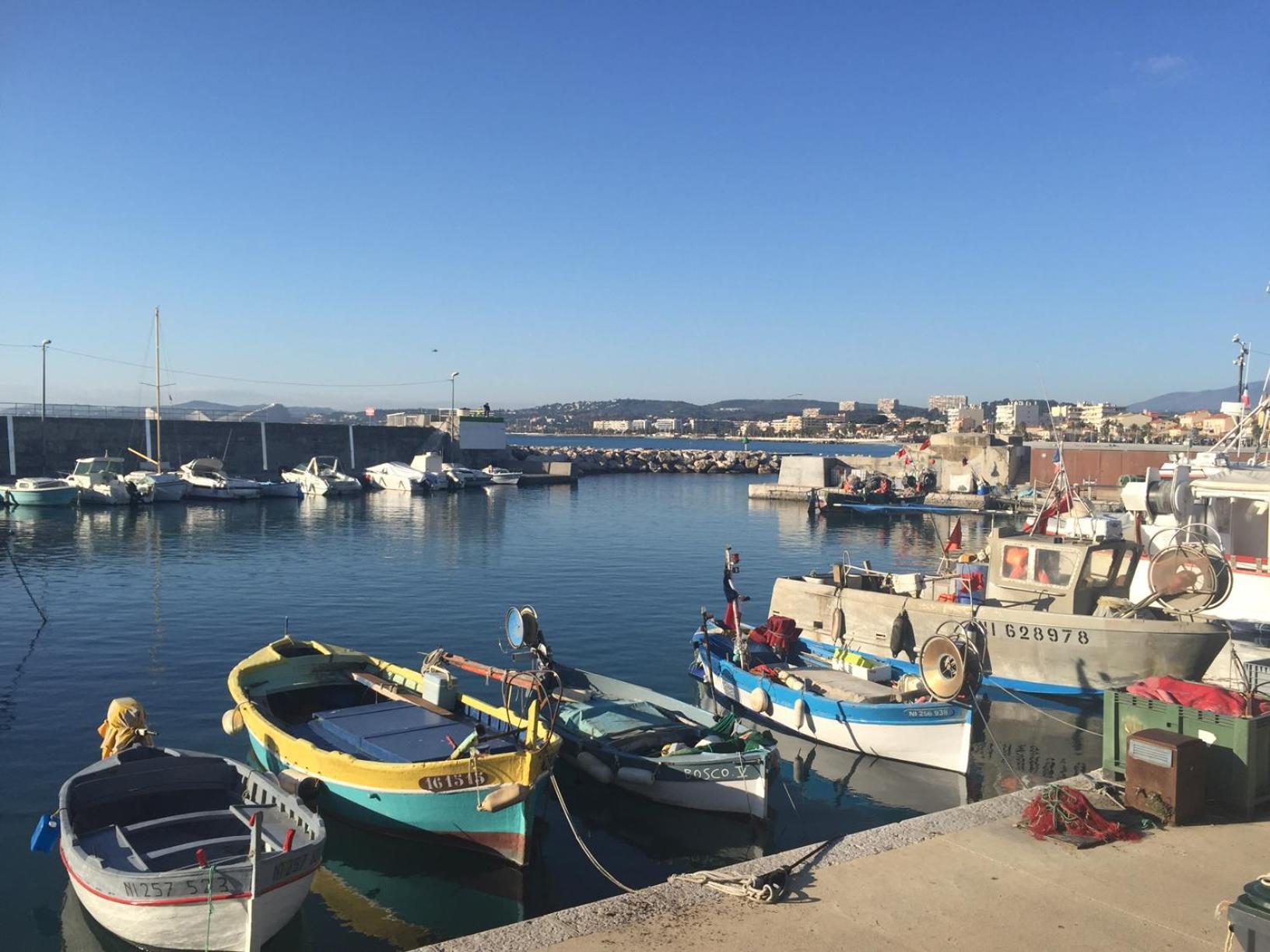 Front De Mer,Plage, Piscine, Parking كانيو سور مير المظهر الخارجي الصورة